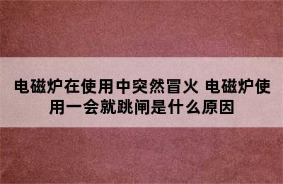 电磁炉在使用中突然冒火 电磁炉使用一会就跳闸是什么原因